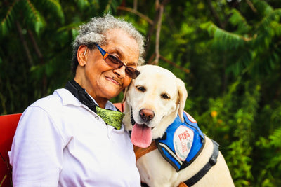 Adopting a Senior Dog - What You Should Know