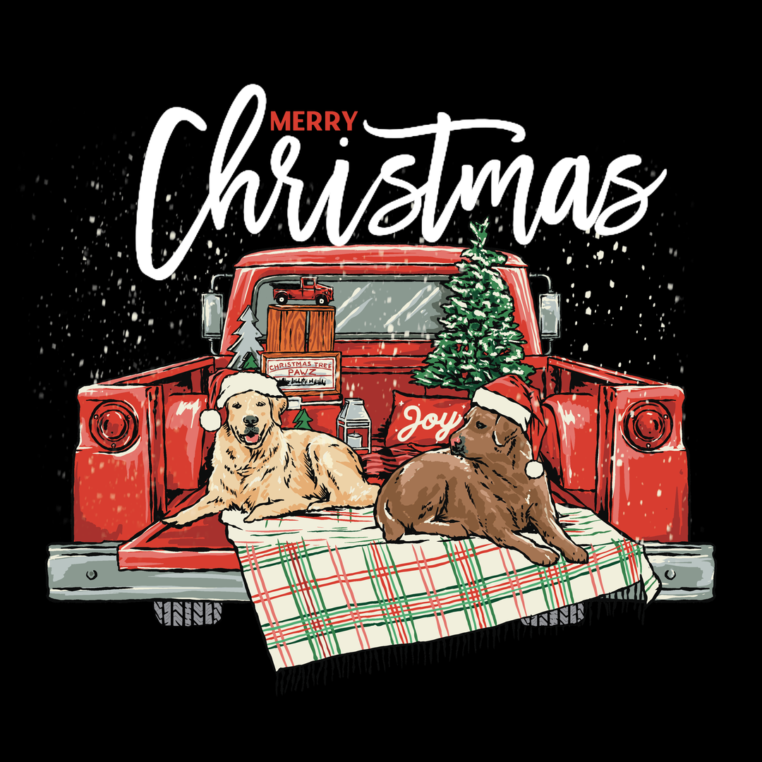 Christmas Truck (Adult Short Sleeve T-Shirt)