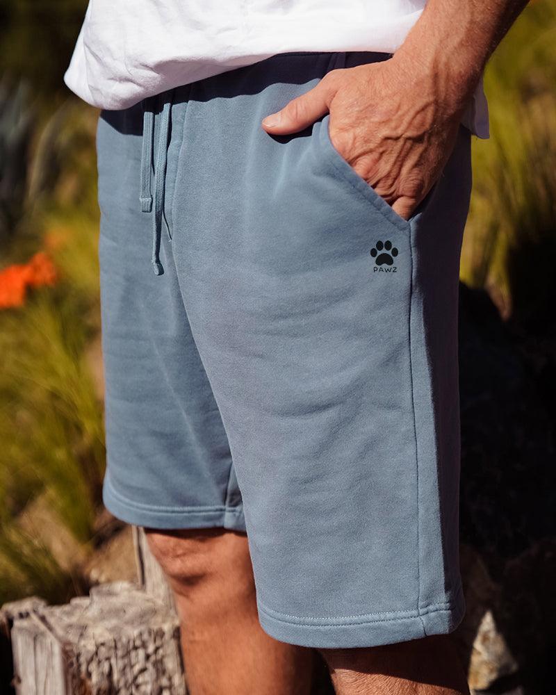 Pawz Men's Slate Blue Shorts - Pawz