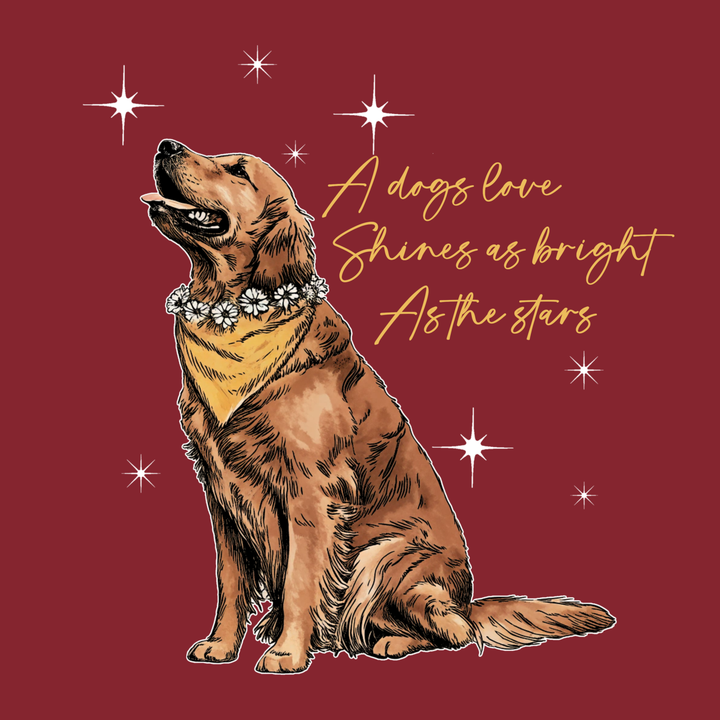 Shine Bright (Adult Short Sleeve T-Shirt)