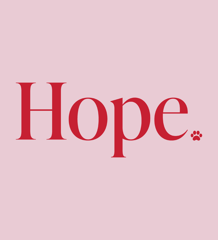 Hope - Front Print (Adult Hoodie)